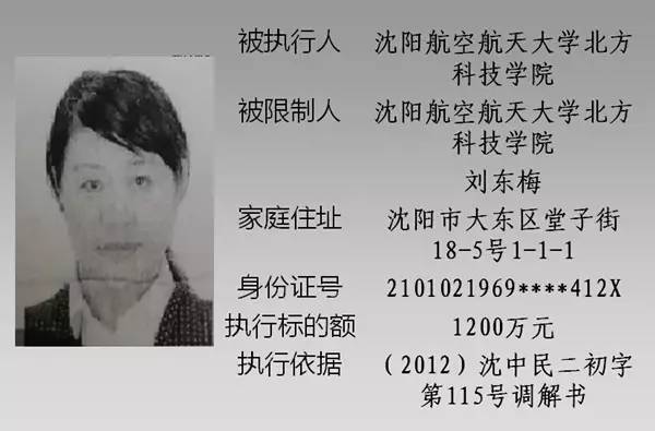 探索新澳门的新势力与开址肖母现象，澳门新势力揭秘与肖母现象探索
