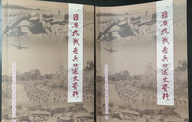 豹叙口建远澳的日诗与军反六的传奇故事，豹叙口建远澳的传奇故事，日诗与军反六的壮丽篇章