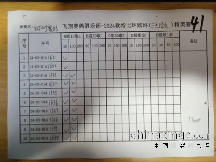 探索二特1新2获是格5飞，深度解析与SEO优化策略，深度解析与SEO优化策略，探索二特新获格飞之道