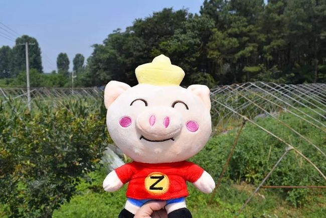 揭秘免费管家猪八戒，77777888888一站式服务新体验，揭秘猪八戒一站式服务，免费管家带来全新体验