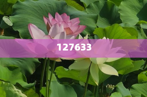 新澳天天开好好，展望未来的繁荣与发展（2025年展望），新澳天天开，展望未来的繁荣与发展（至2025年）