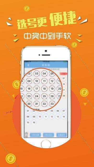 揭秘数字背后的故事，探寻王中王中的传奇历程与独特魅力（2014年回顾），揭秘数字背后的故事，王中王传奇历程回顾与独特魅力探寻（2014年回顾）