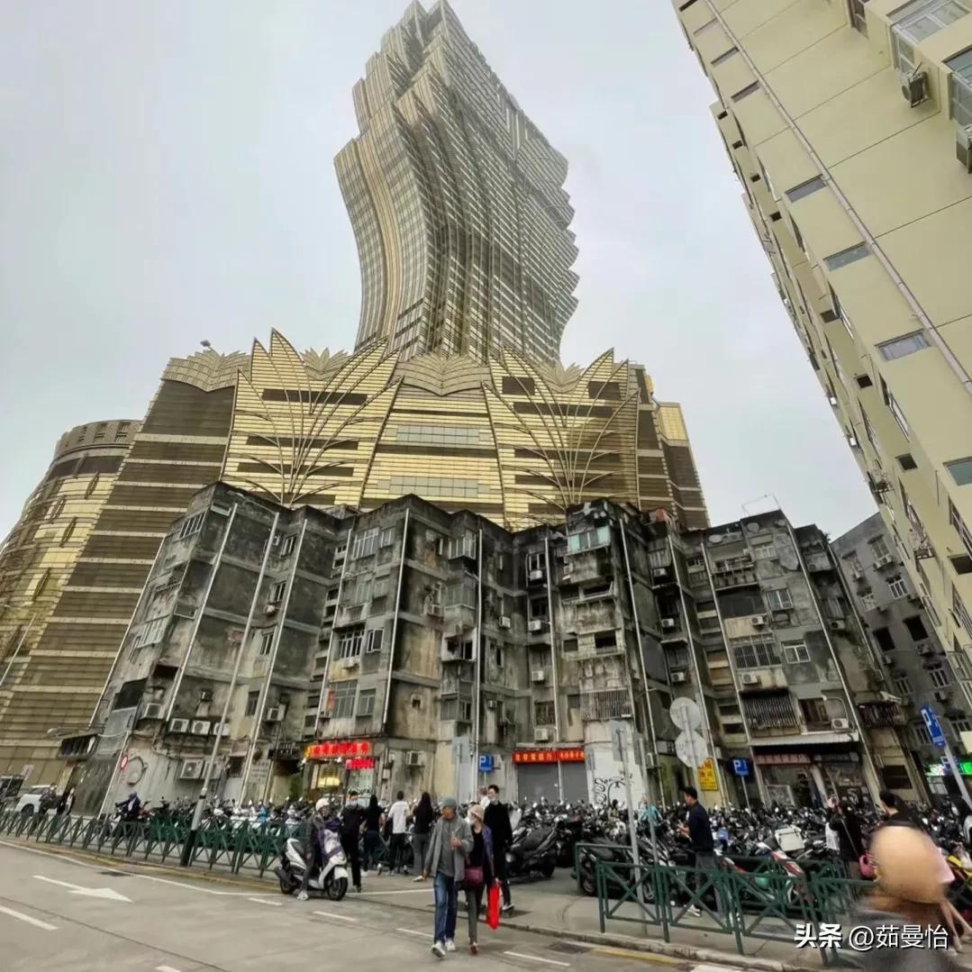 2025年澳门天天彩大全解析，红蓝波的秘密与策略，澳门天天彩解析，红蓝波的秘密与策略揭秘