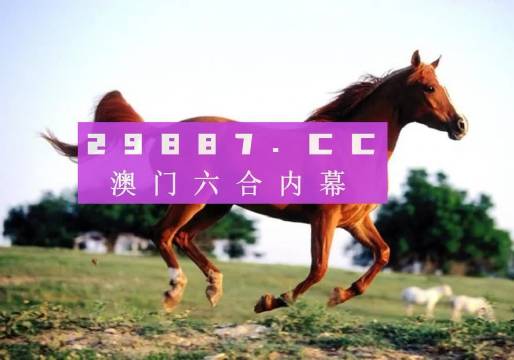 大三巴一肖一码一特法律风险解析与应对，大三巴一肖一码一特的法律风险解析及应对策略