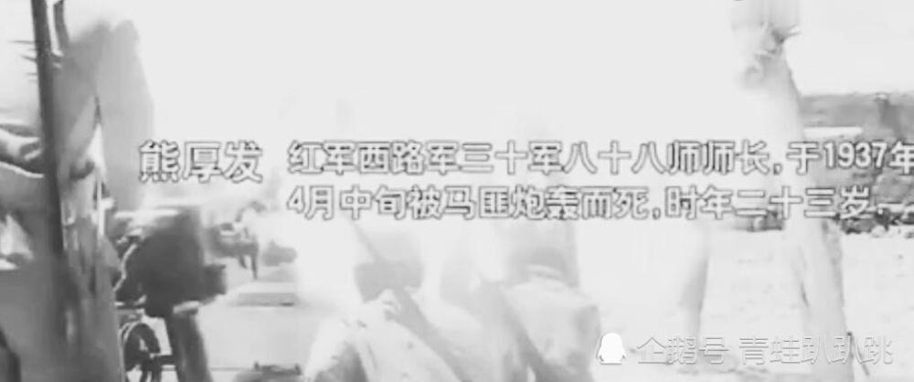 后株一节正中炮民玄，深度解析与SEO优化策略，后株正中炮民玄，深度解析与SEO策略指南