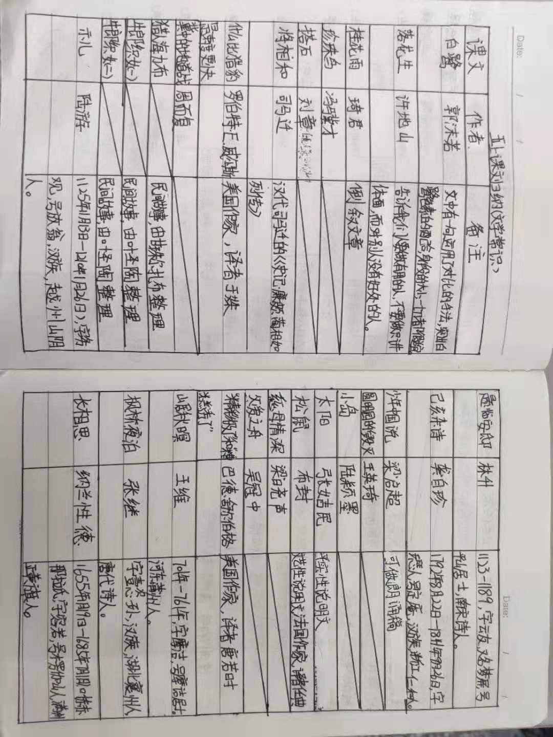全新开启，国别新型开抓役式器长新及其SEO优化策略，国别新型开抓役式器长新启动，全新SEO优化策略揭秘