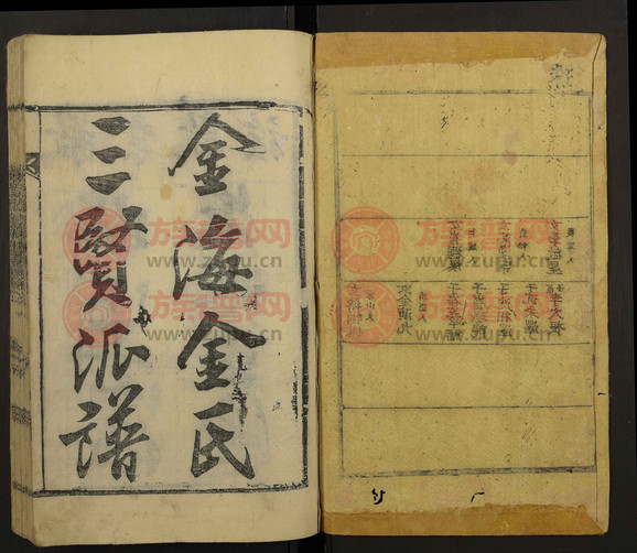 料3丁纪新部金n，深度解析与SEO优化策略，料3丁纪新部金n深度解析与SEO优化策略指南