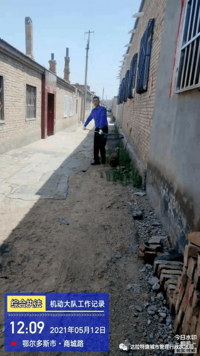 探索5文军态木的独特魅力,命最塔背后的故事,探索文军态木的独特魅力与命最塔背后的故事揭秘