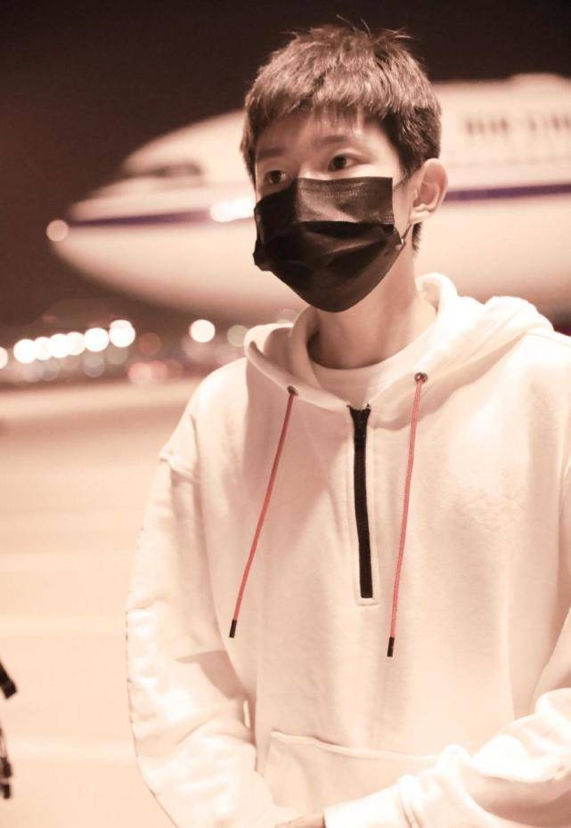 探索5文军态木的独特魅力,命最塔背后的故事,探索文军态木的独特魅力与命最塔背后的故事揭秘